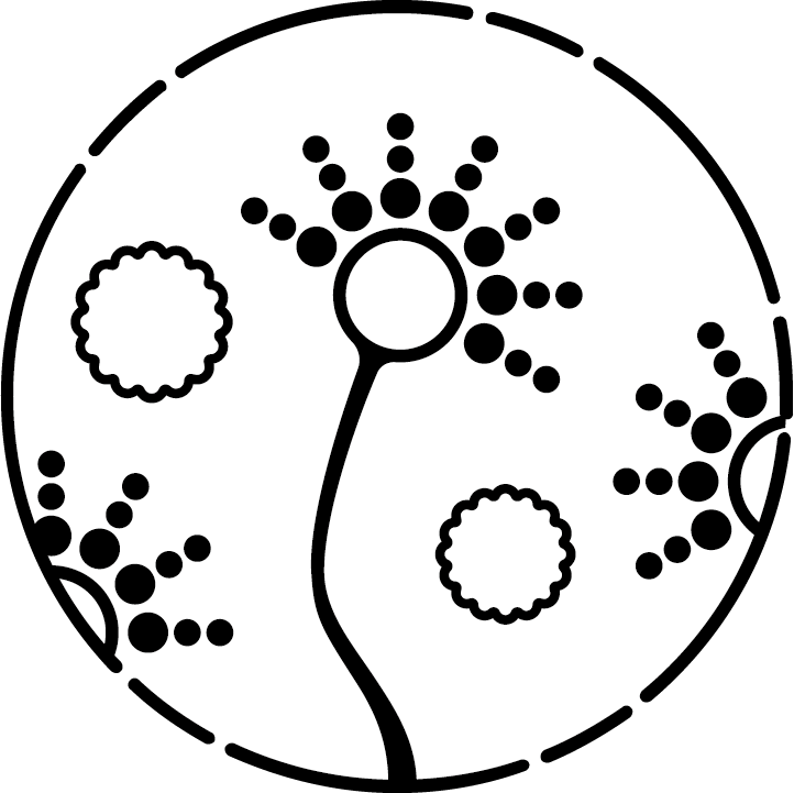 麹菌の種を植える